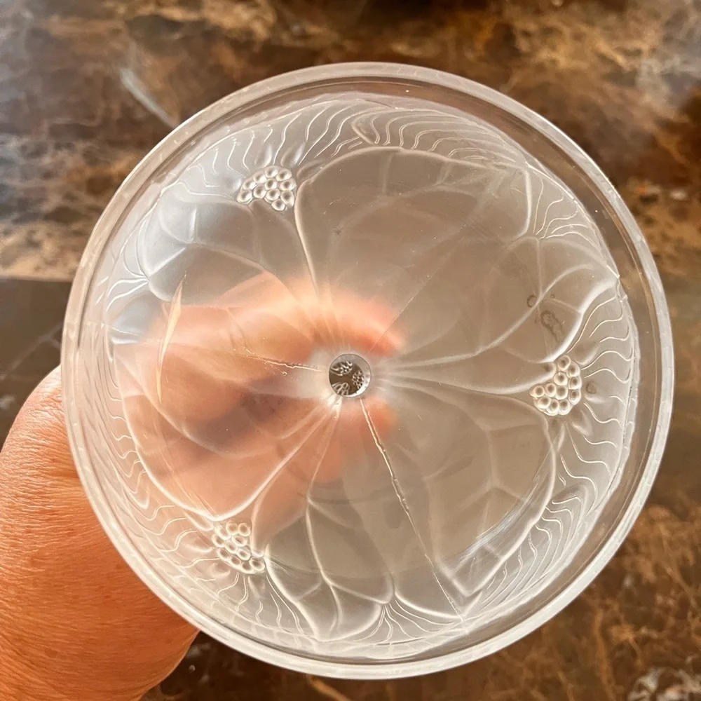 RARE vintage, TAITU Of Italy,  frosted champagne/sorbet glass